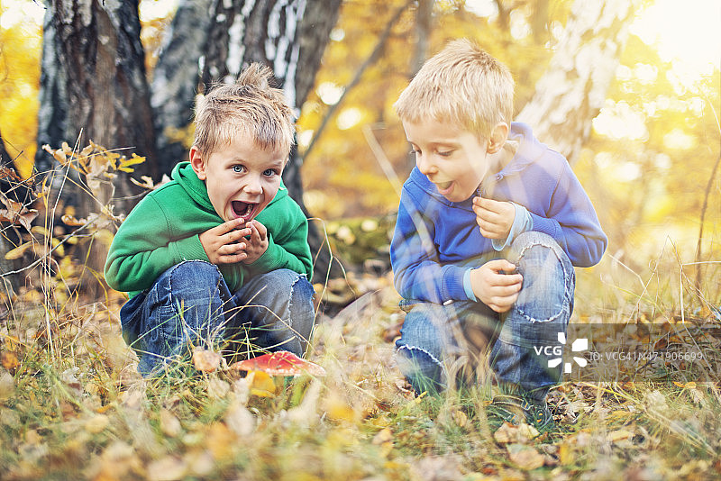 小男孩和秋天的毒蕈图片素材