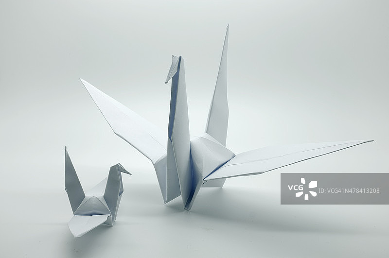 白色折纸鹤，鸟，纸图片素材