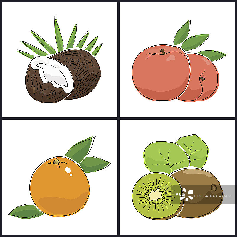 葡萄柚、桃子、猕猴桃、椰子图片素材