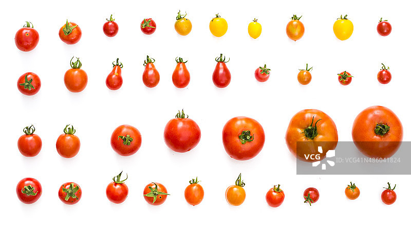 各种番茄在白色背景上分离图片素材