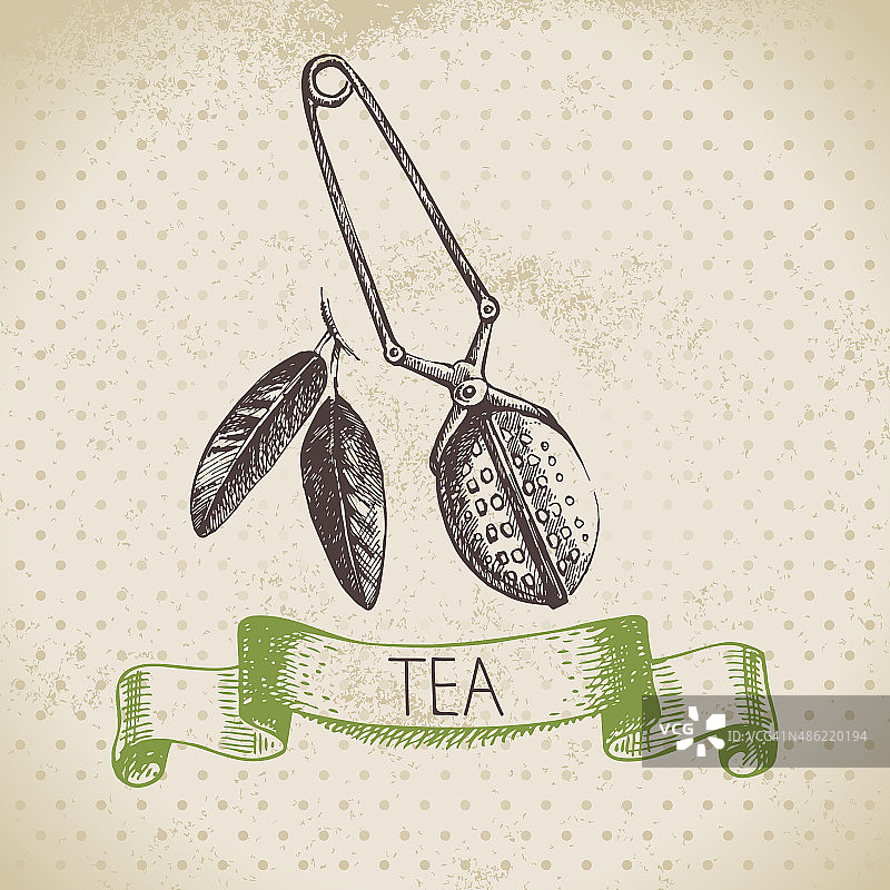 茶的背景。手绘草图。菜单des图片素材