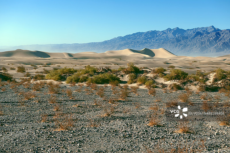 美国加利福尼亚州死亡谷牧豆树平原沙丘图片素材