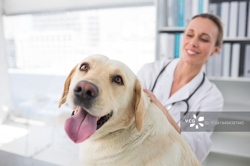狗与女兽医图片素材