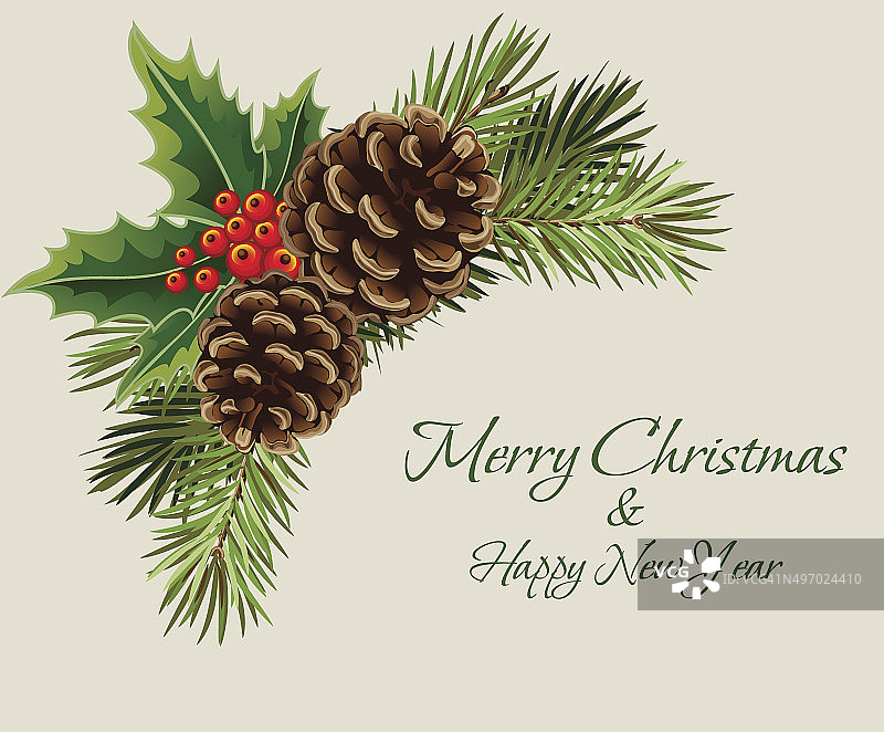 印有松枝、松果和槲寄生的圣诞明信片图片素材