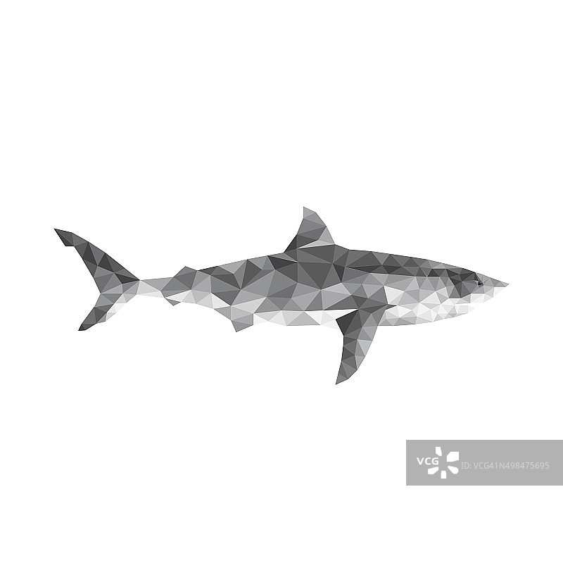 多边形几何鱼-鲨鱼图片素材