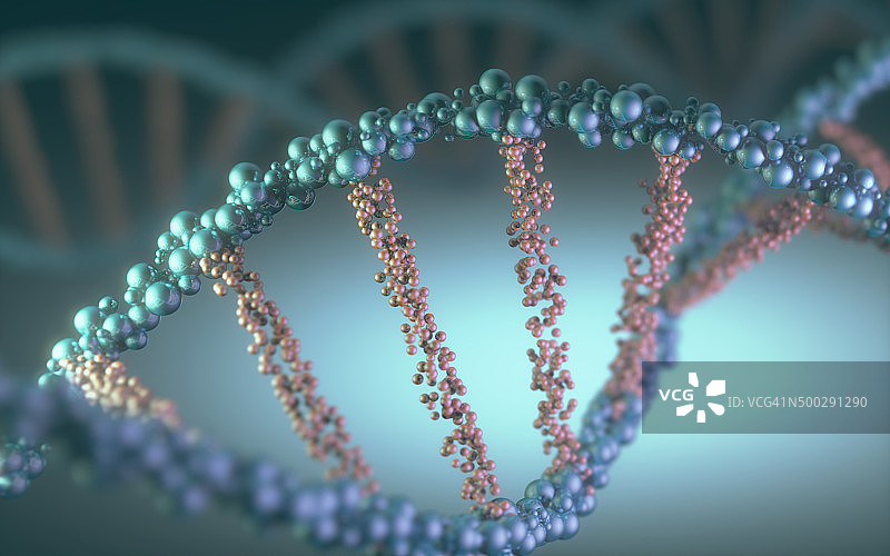 DNA的概念图片素材