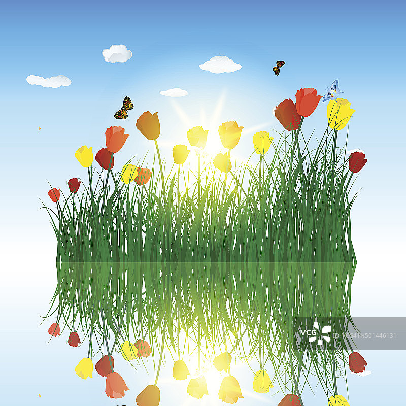 草中的郁金香在水中倒影图片素材