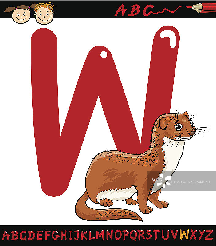 字母w为鼬鼠卡通插图图片素材