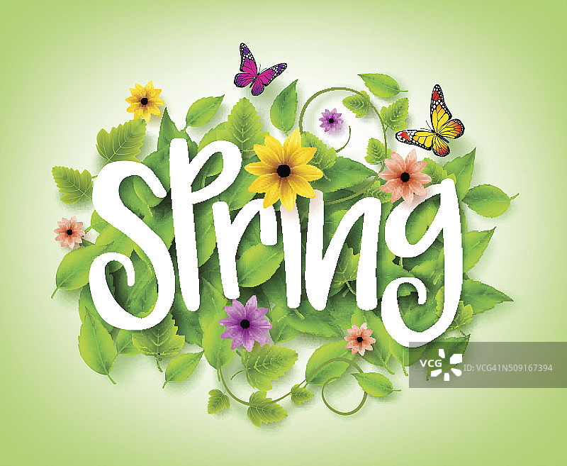 春天标题与矢量叶在背景与花图片素材