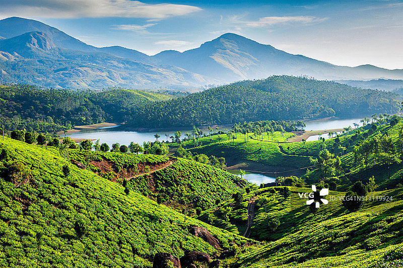 茶园和山上的河流。喀拉拉邦,印度图片素材