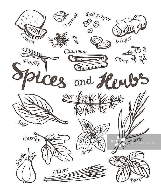 香料和药草收集。手绘草图图标。图片素材