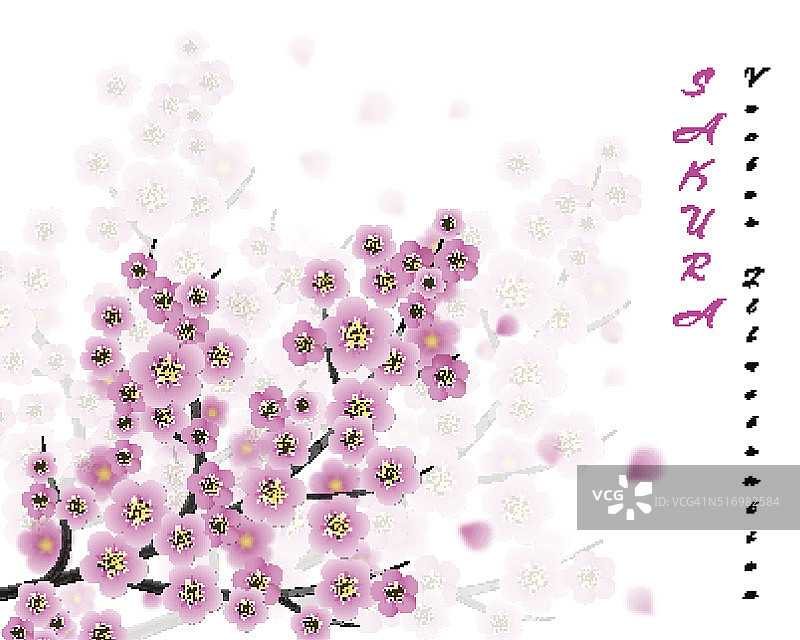 樱花向量背景图片素材