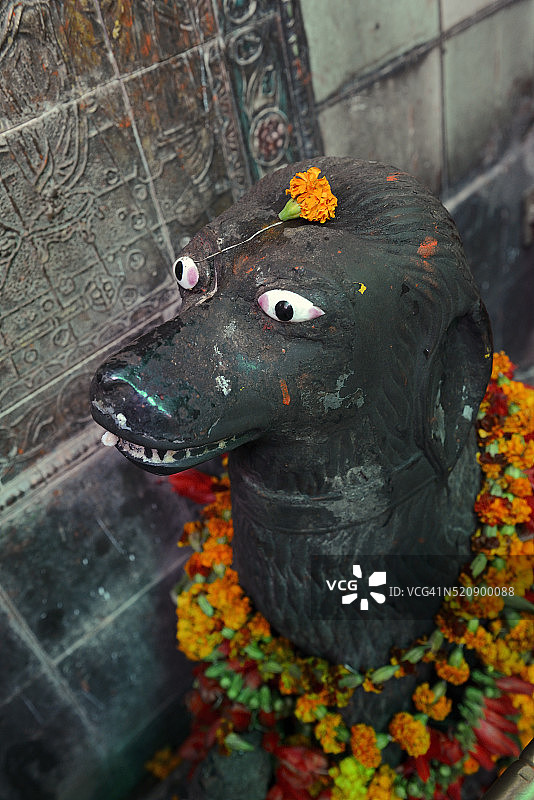 印度，北方邦，瓦拉纳西，卡尔巴拉瓦神庙，狗塞鲁的偶像图片素材