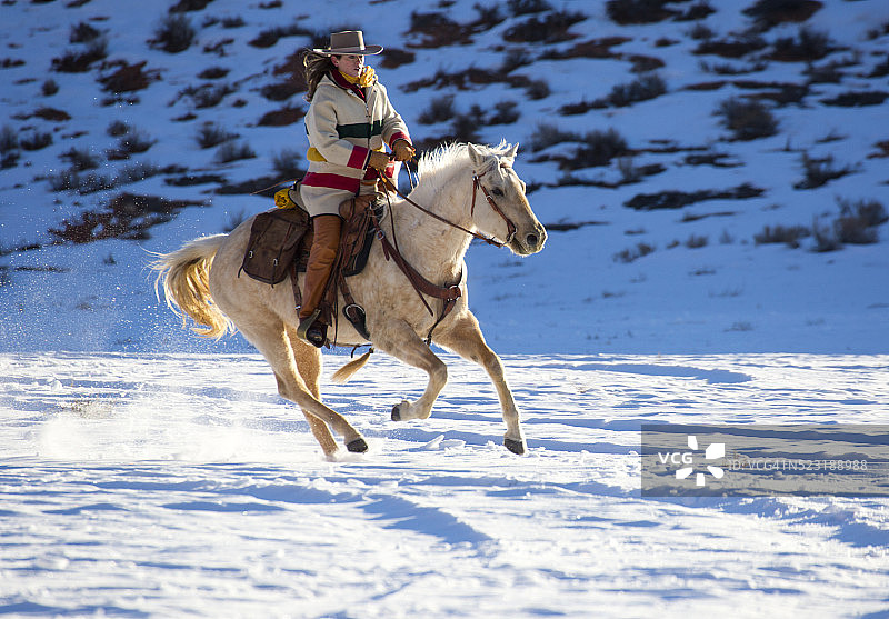 马跑着新鲜的雪图片素材