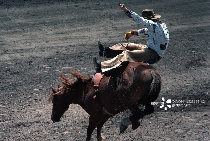 野马从怀俄明州的牛仔上跳下来图片素材