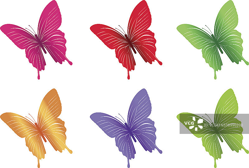 一套彩色蝴蝶孤立的春天图片素材