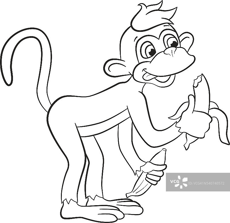 可爱的小猴子在吃香蕉图片素材