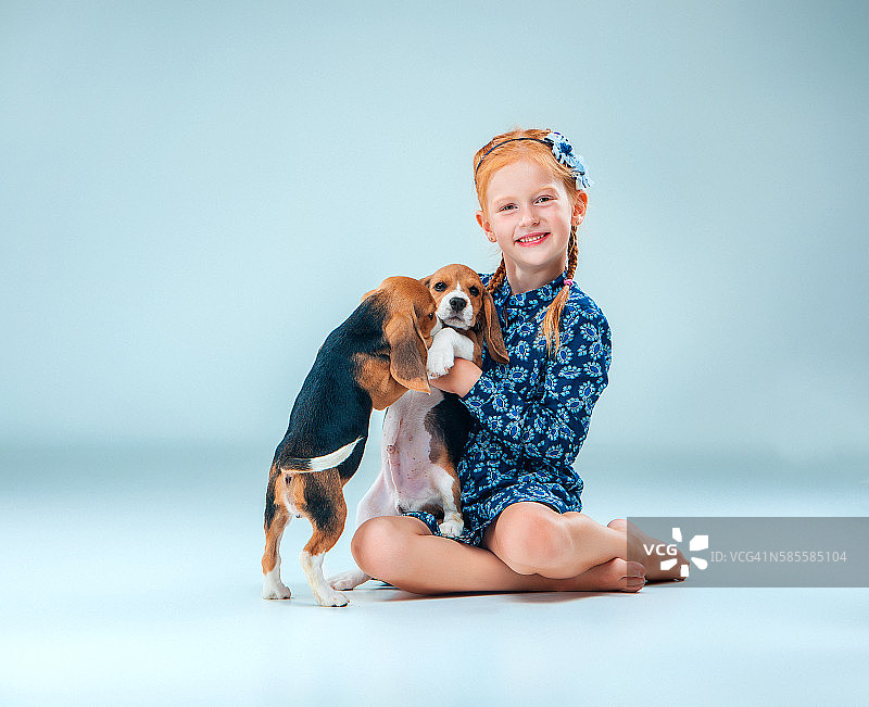 灰色背景上的快乐女孩和两只小猎犬图片素材