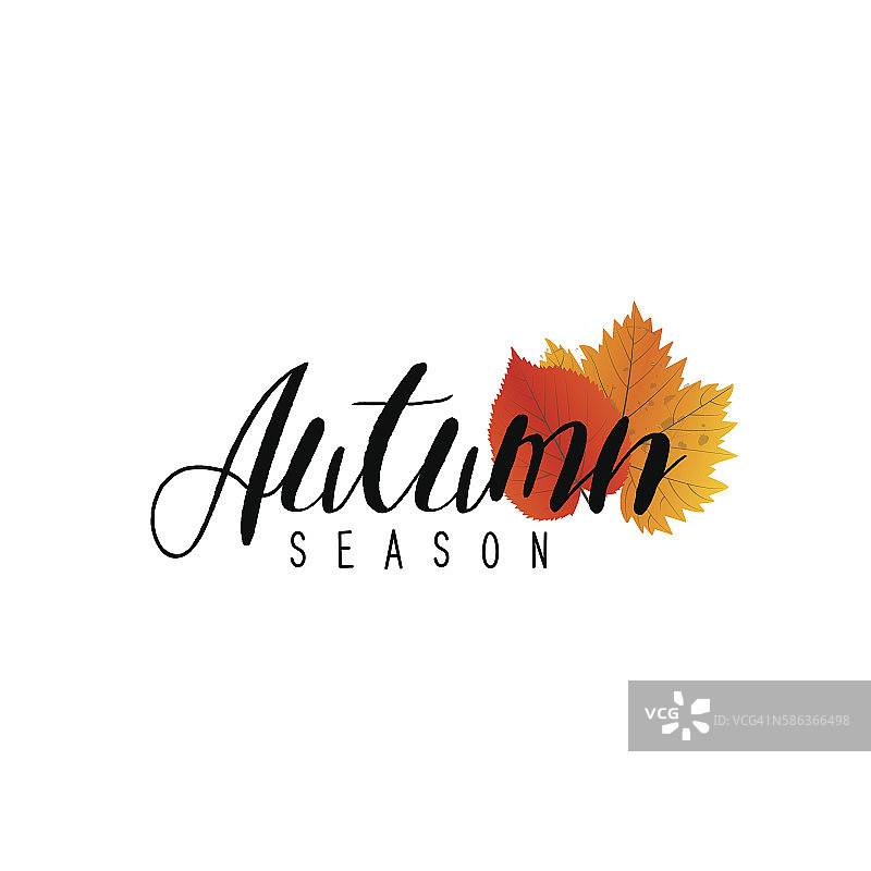 秋季新一季的促销和折扣，优惠和优惠。图片素材