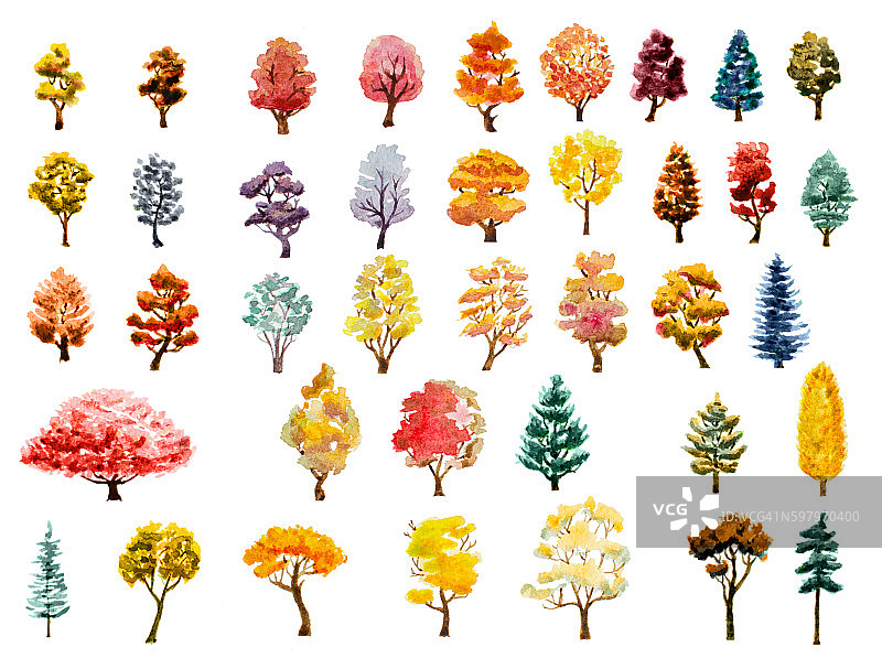 水彩秋天的树图片素材