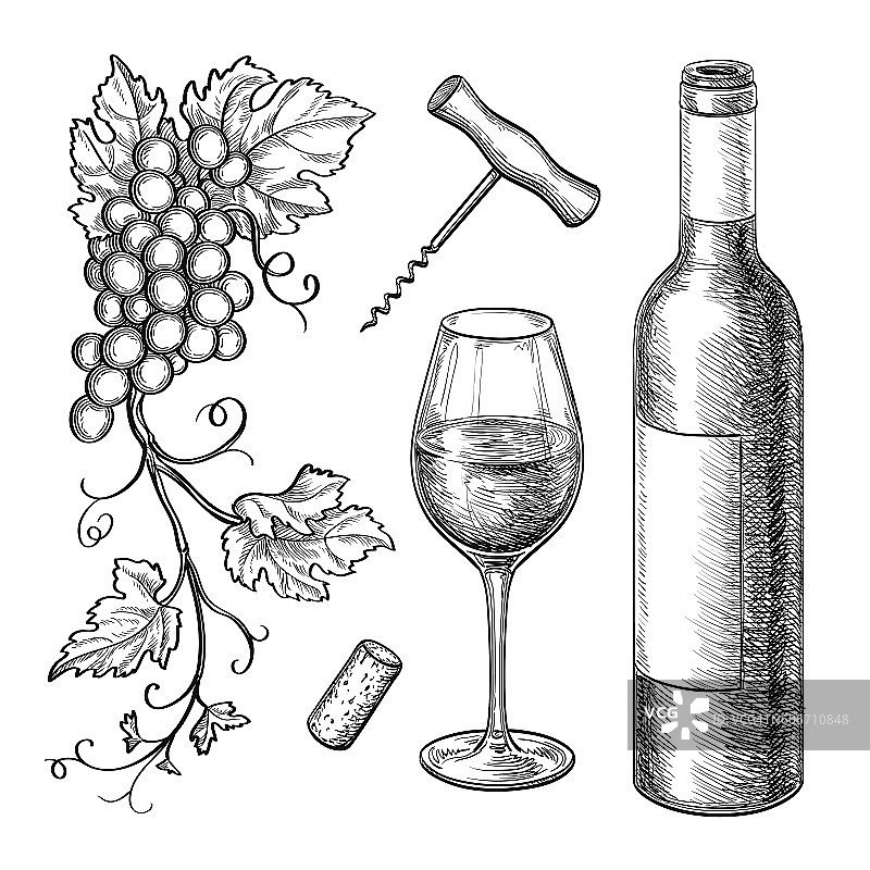 葡萄枝，酒瓶，酒杯。图片素材