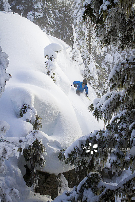 滑雪者在树上雕刻新鲜的粉末。图片素材