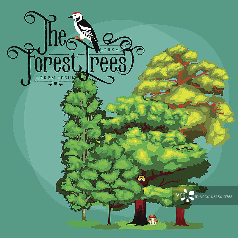 夏季绿色森林树木和野生动物图片素材