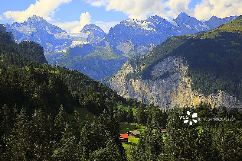 阿尔卑斯山田园诗般的风景:林地和农场，Lauterbrunnen，瑞士阿尔卑斯山图片素材