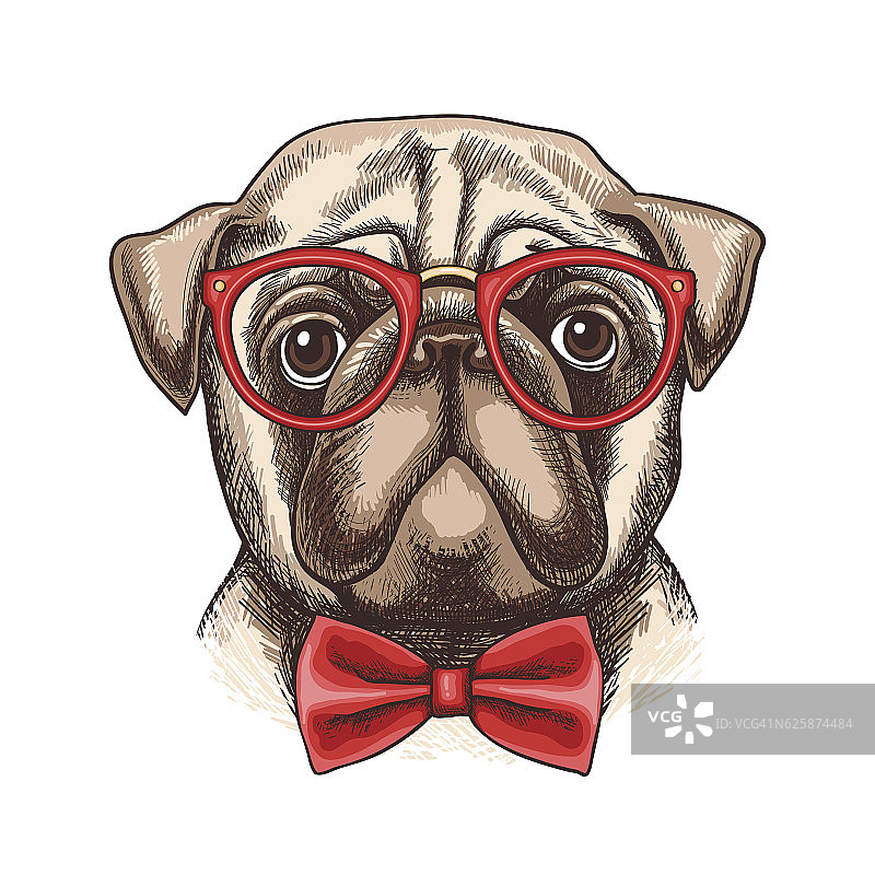 手绘插图的哈巴狗在眼镜和蝴蝶结图片素材
