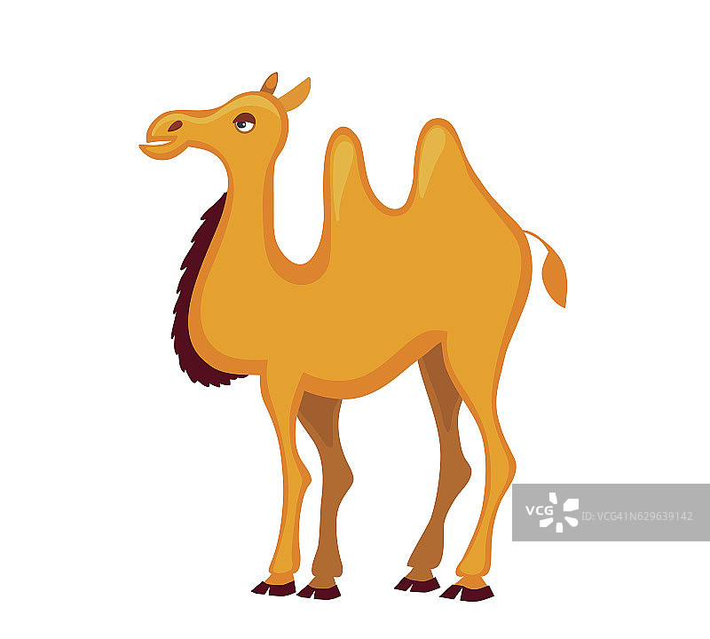 插图可爱装饰骆驼卡通。图片素材