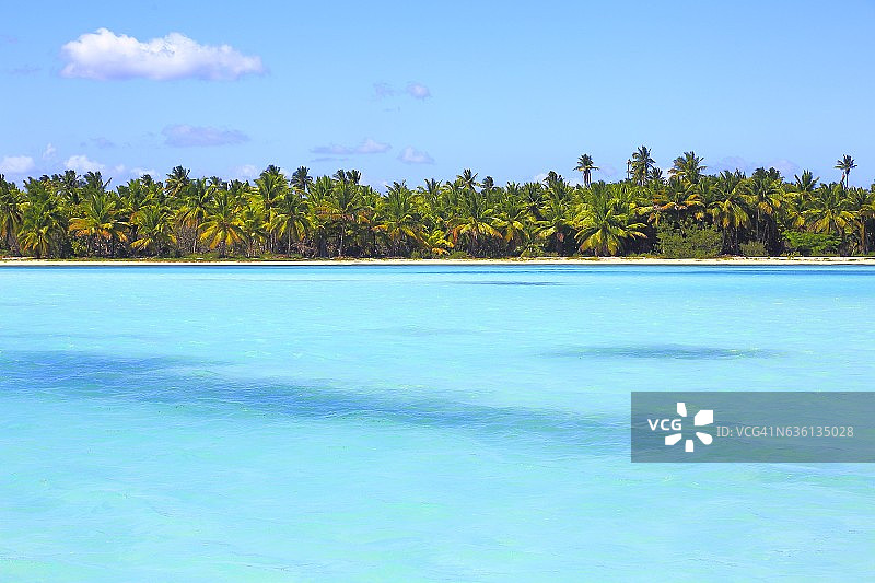 热带天堂:蓝绿色的加勒比海海岸线，蓝天下的海岸图片素材