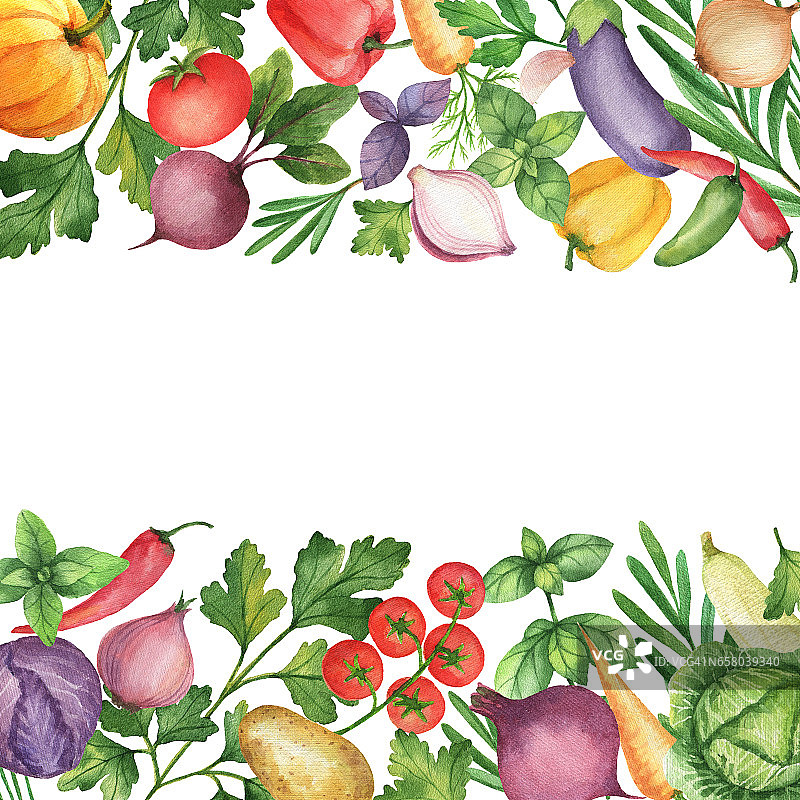 水彩蔬菜和香草孤立的白色背景。图片素材