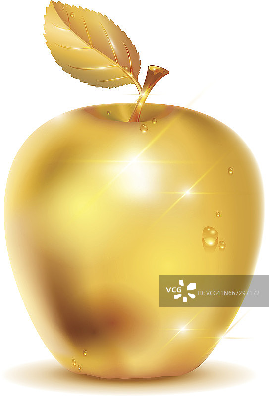 带露珠的金苹果图片素材