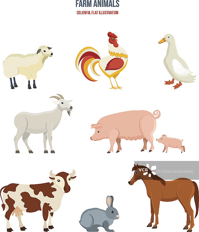 一组不同的农场动物在白色的背景图片素材