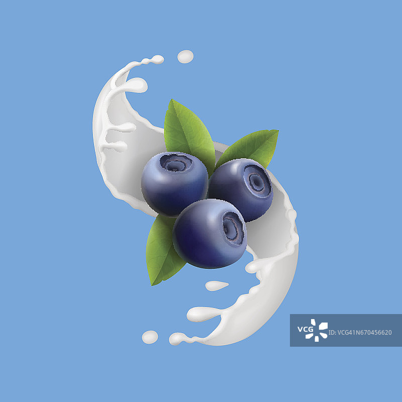 蓝莓和牛奶飞溅，浆果图标和酸奶。现实的矢量图图片素材