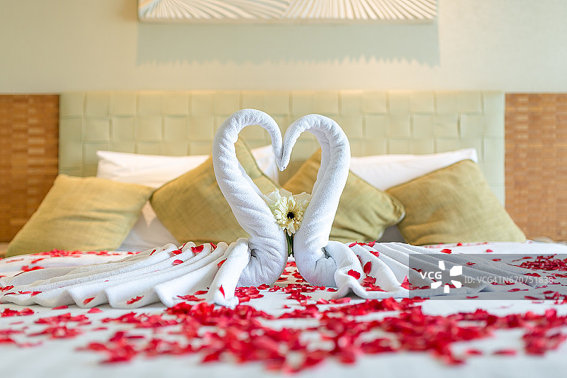 美丽的红玫瑰花和夫妇天鹅设计的毛巾装饰在蜂蜜月床上。——(选择聚焦)图片素材