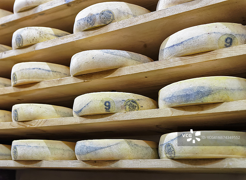 在成熟的窖藏franz Comte货架上的陈年奶酪图片素材