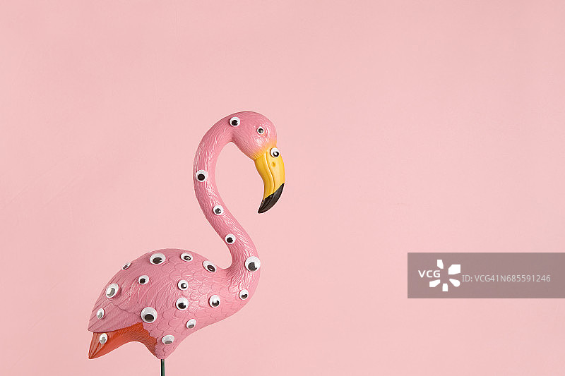粉红色的塑料火烈鸟图片素材