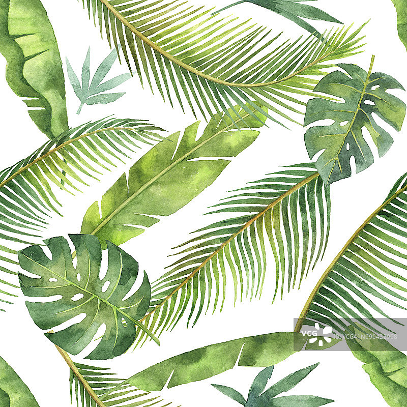 水彩无缝模式与热带树叶和树枝孤立在白色的背景。图片素材