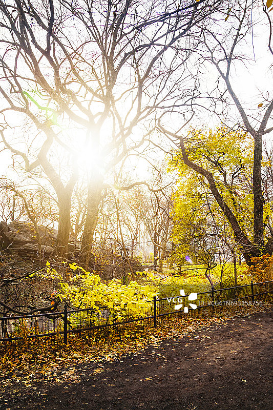 秋天的中央公园图片素材