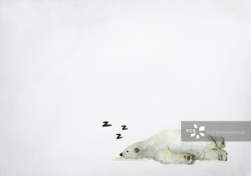 手绘水彩画的睡觉的北极熊在灰色的背景。图片素材