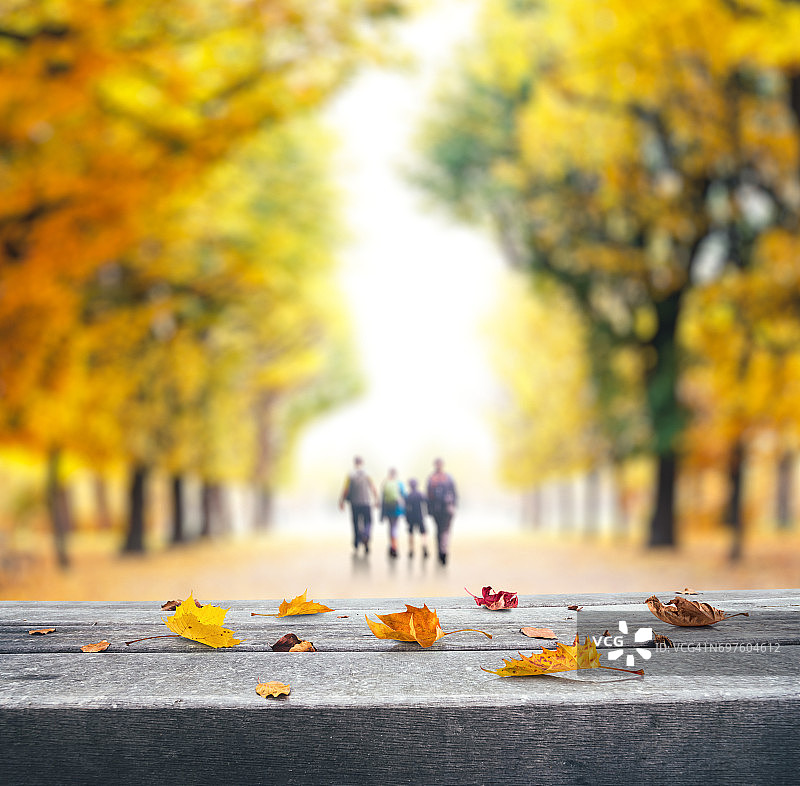 城市公园的秋天图片素材