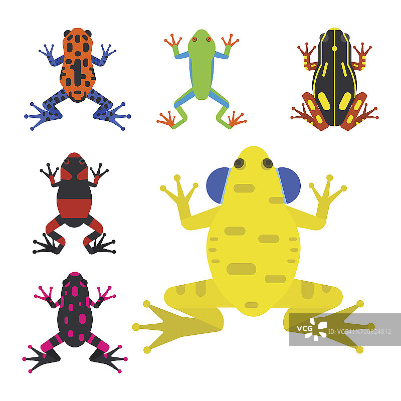 青蛙卡通热带动物卡通两栖动物吉祥物人物野生矢量插图图片素材