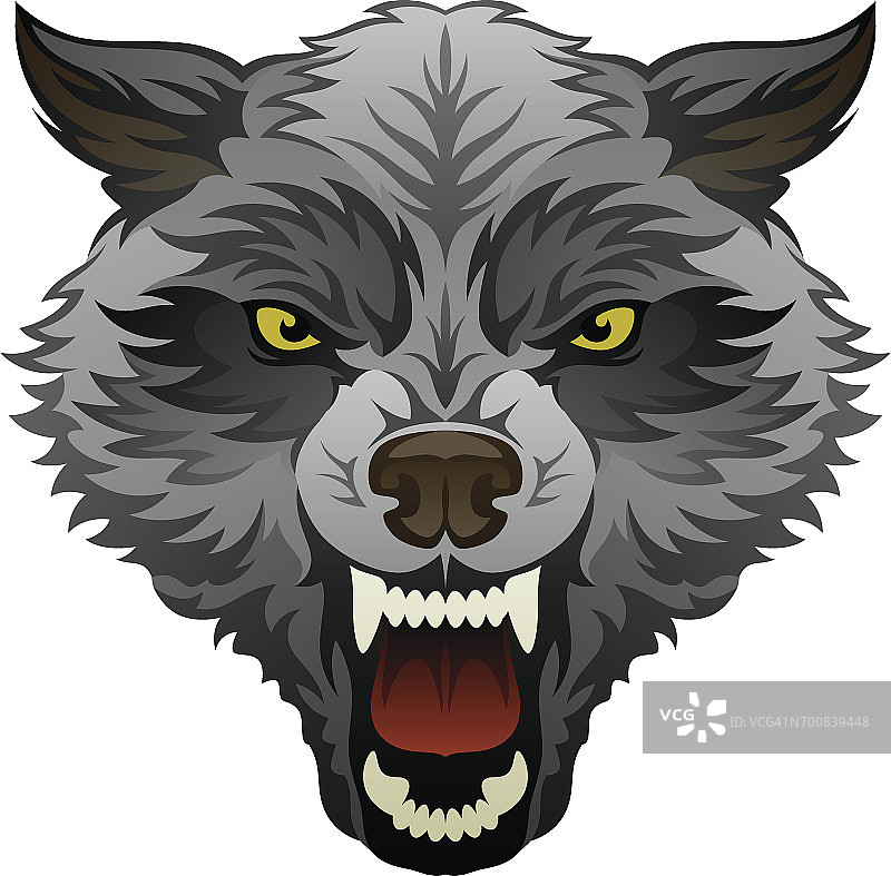 愤怒的狼的头图片素材