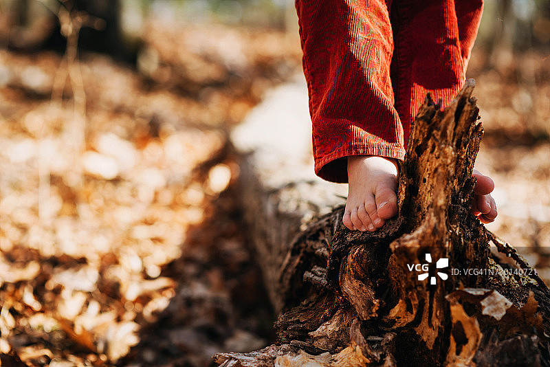 小男孩站在森林里的一根原木上图片素材