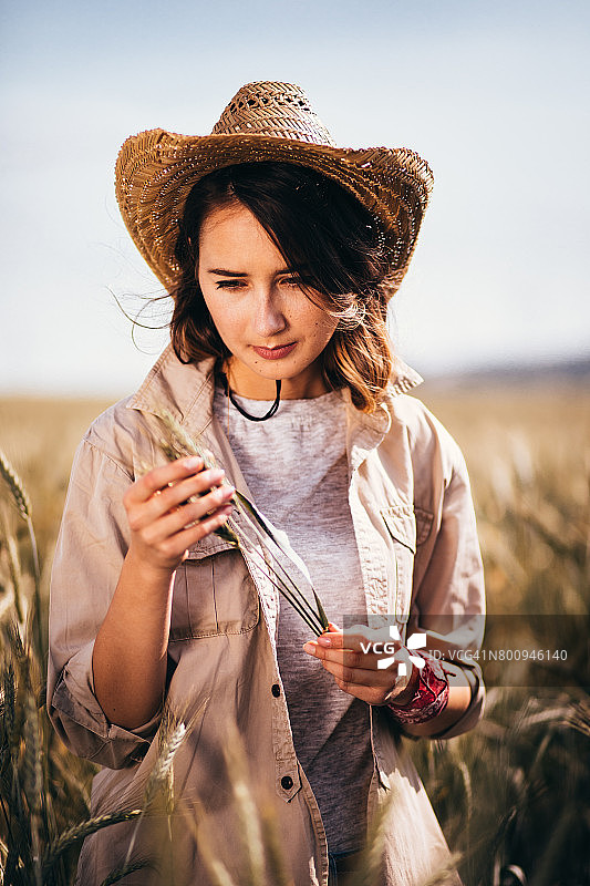 年轻女性研究人员在耕地中检查大麦谷物图片素材