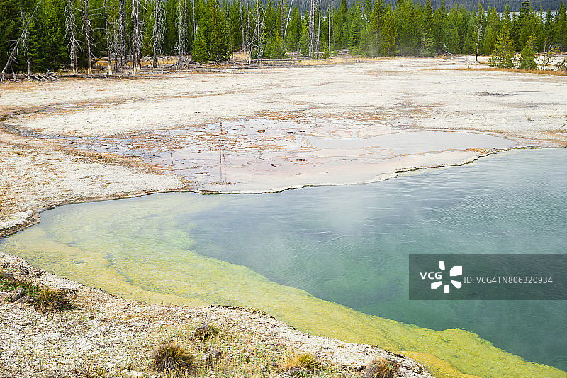 黄石湖西拇指间歇泉盆地的彩色池图片素材