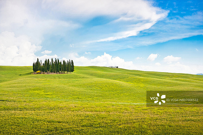 风景优美的托斯卡纳风景在瓦尔德奥西亚，意大利图片素材