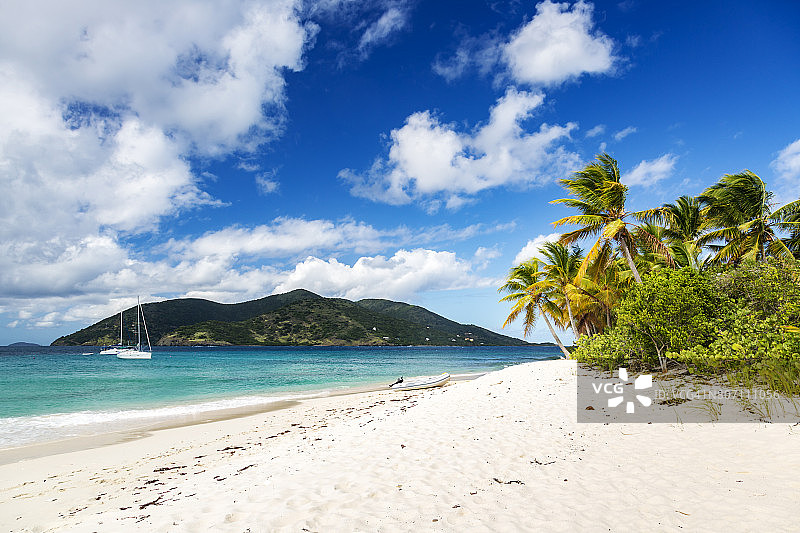 美丽的加勒比海海湾宁静的海岸，停泊着帆船和棕榈树图片素材