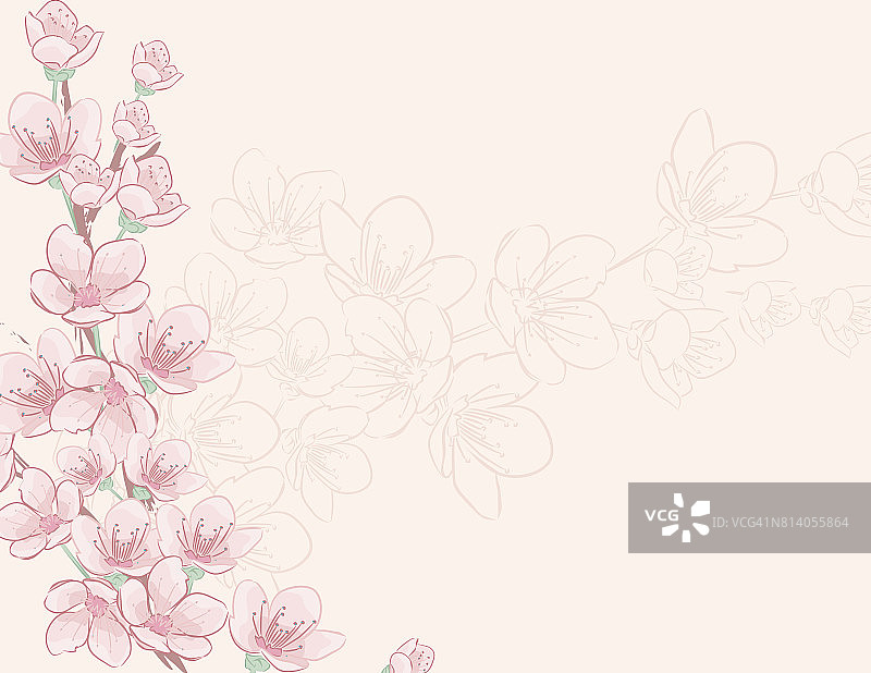 手绘樱花背景图片素材